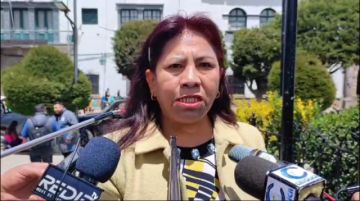 Comcipo lamenta retraso en el proyecto de la planta de zinc
