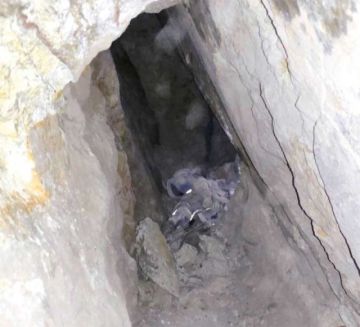 Un trabajador pierde la vida aplastado por un planchón