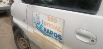 El vehículo en cuestión.
