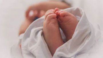 Hospitales recibieron a censistas y nuevos bebés: 40 nacimientos en Bolivia
