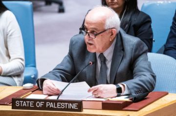 Palestina pide formalmente entrar como Estado miembro de pleno derecho en la ONU
