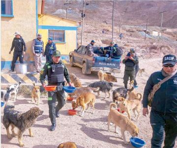 Policías alimentan a los "guardianes" del Cerro Rico de Potosí