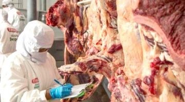 Exportación de carne llegó a $us 200 millones en 2023