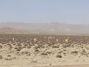 Las lluvias se van en el Departamento de Potosí y ya llegan las heladas