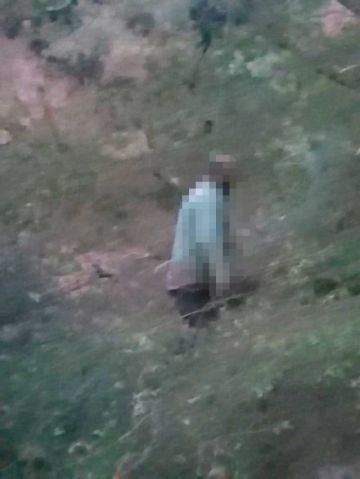 Perro descubre cadáver  de un hombre colgado