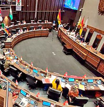 El Senado aprueba  créditos externos por $us 325 millones