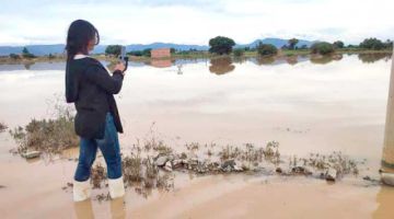 Más de 200 mil hectáreas de cultivos fueron afectadas por desastres en el país