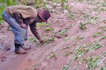 Desastres naturales afectan a 1.000 familias en Macha