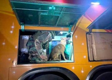 Can antidroga encuentra 120 paquetes de droga en flota