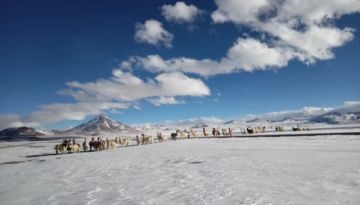 Temperaturas seguirán descendiendo en todo Potosí