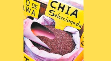 Gobierno completó el 90% de trámites para iniciar la exportación de chía a China