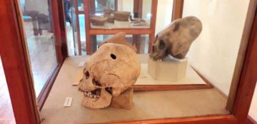 Cráneos humanos encontrados en Potosí.