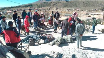 Más mineros mueren en los socavones: ya son 54