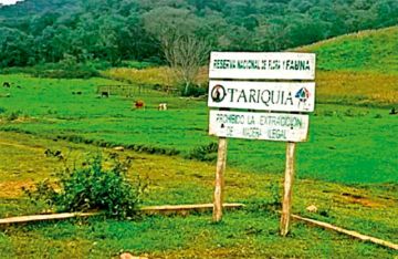YPFB proyecta $us 6.000 millones de más ingresos