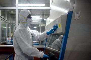La OMS reporta en México la primera muerte humana por gripe aviar en el mundo
