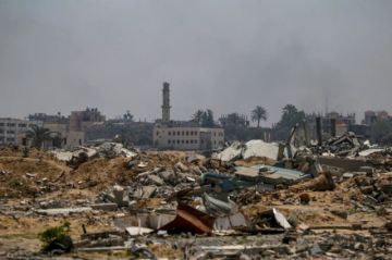 Los conflictos en Gaza y Ucrania, principales causantes de la caída del Índice de Paz global
