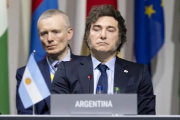Zelenski se reúne con Milei en Cumbre de Paz en Suiza y le entrega la Orden de la Libertad