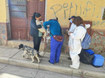 Campaña de vacunación contra la rabia está en desarrollo en Potosí