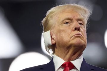 Trump dice que la bala sonó como si fuera “el mayor mosquito del mundo”