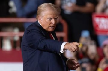 Trump afirma que las elecciones en Venezuela “no fueron libres” y culpa a Kamala Harris