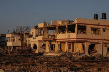 Los contactos para lograr una tregua en Gaza se detienen tras el asesinato de Haniyeh, según fuentes egipcias