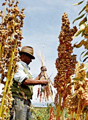 2023: Bolivia logra récord histórico en su PIB con $us 45.464 millones