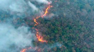 Reportan que el incendio en el Chaco no se propagó a Bolivia