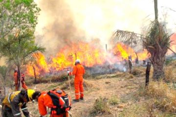Bolivia reporta caída de focos de calor a 2.639 y un solo incendio