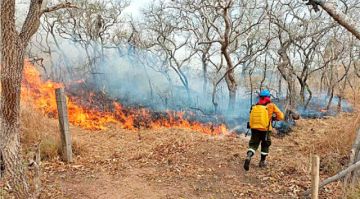 Logran sofocar incendio forestal en San Matías