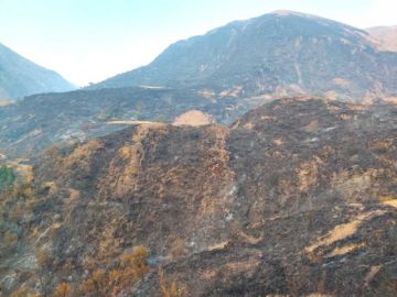 Vista general del área afectada por el fuego.