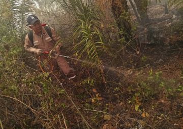 Es el mayor desastre ecológico de nuestra historia.