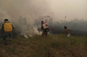 Es el mayor desastre ecológico de nuestra historia.