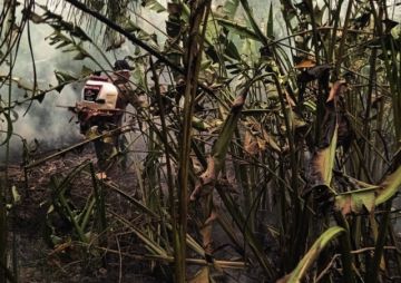 Es el mayor desastre ecológico de nuestra historia.