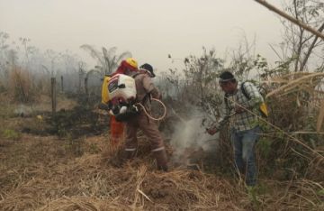 Es el mayor desastre ecológico de nuestra historia.