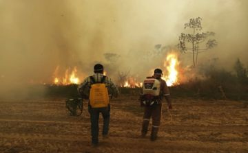 Es el mayor desastre ecológico de nuestra historia.