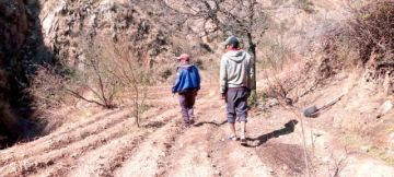 Primeras granizadas ocasionan la pérdida de 18 hectáreas de cultivo
