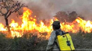 Gobierno prevé apagar los incendios en 10 días
