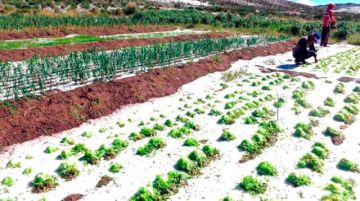 Los desastres naturales afectaron a más de 2.300 familias en Potosí