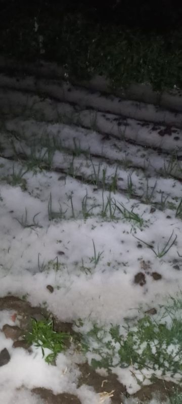 Lluvias y granizo anegaron cultivos en el norte de Potosí