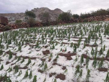 Lluvias y granizo anegaron cultivos en el norte de Potosí