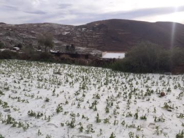Lluvias y granizo anegaron cultivos en el norte de Potosí