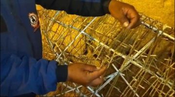 Buscan a los "Grinch" que dañaron iluminación navideña en Potosí 