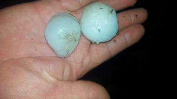 Los granizos tenían dimensiones asemejadas a los huevos de gallina.