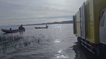 Interceptan a personas que intentaban contrabandear carne de cerdo hacia Perú
