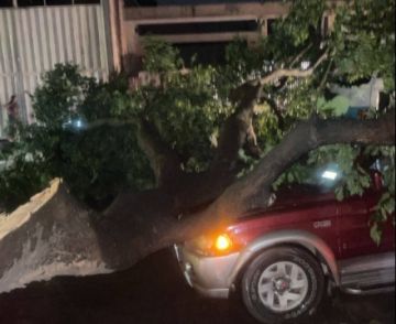 Vientos huracanados causan susto y estragos en algunos municipios de Santa Cruz