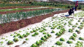 Potosí recibe el 2025 bajo el asedio de desastres naturales