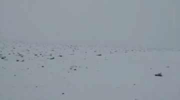 Senamhi reporta nevada en el sector de las Quetenas en el sudoeste potosino 