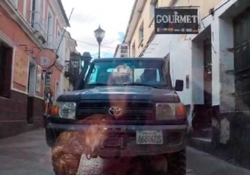 Chofer invade pasaje peatonal del Boulevar con una camioneta