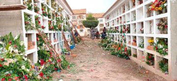 Accidentes de tránsito en Potosí dejaron 135 muertos esta gestión