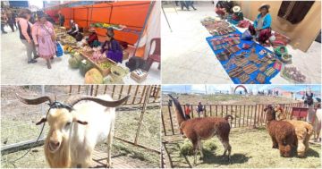 Feria productiva ofreció precios baratos